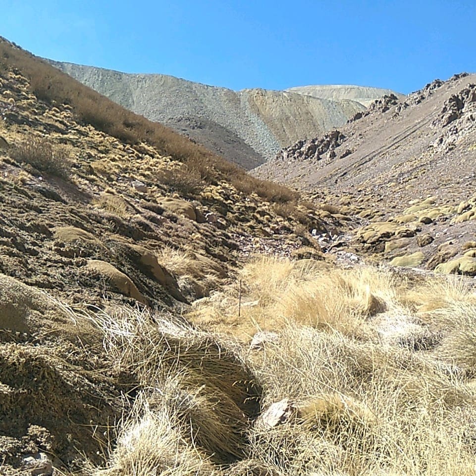 Calidad Basal