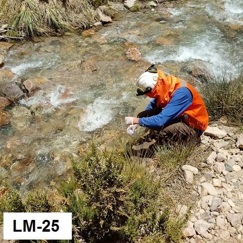LM-25